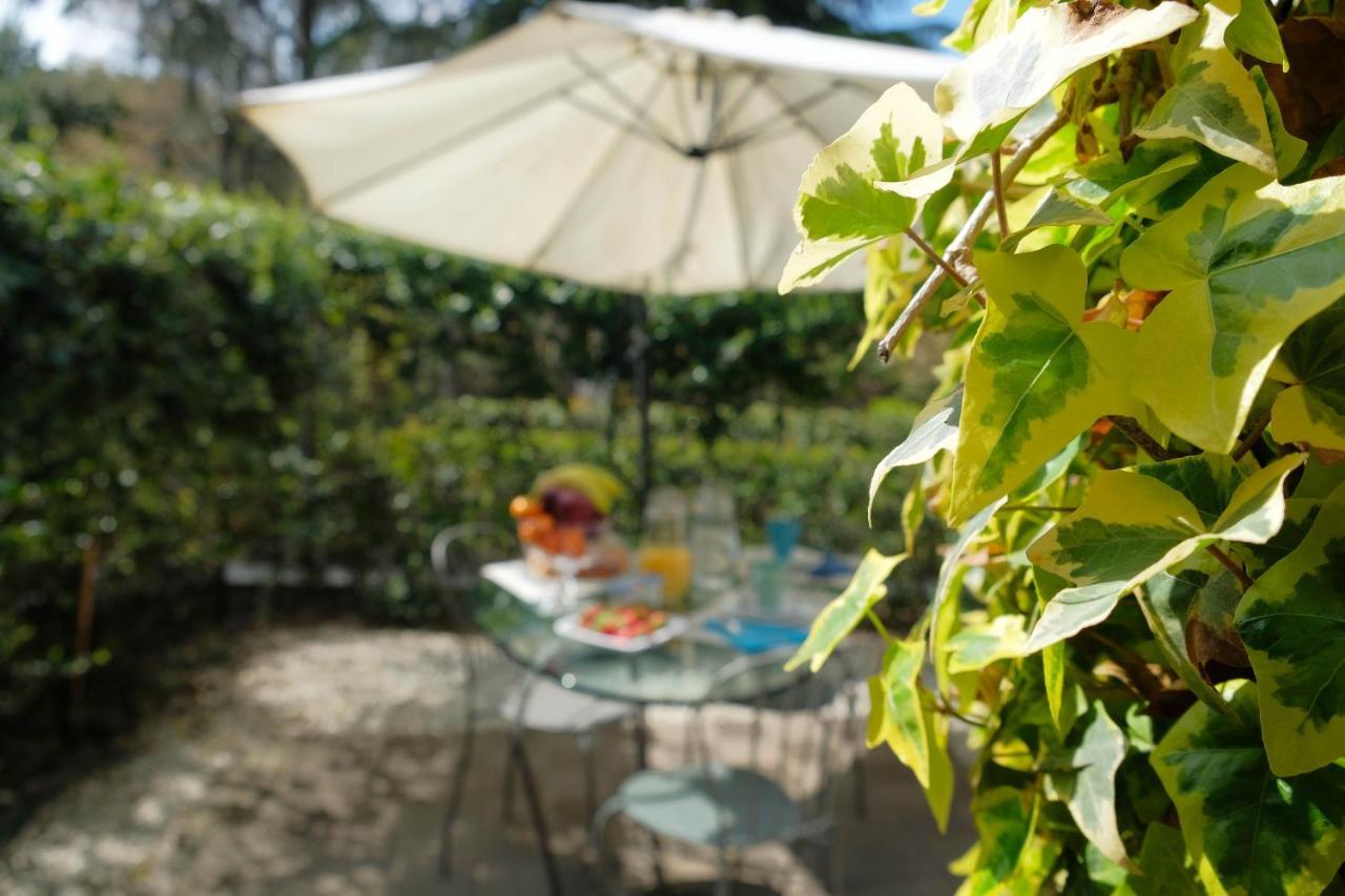 Il Leone Couette-café Florence